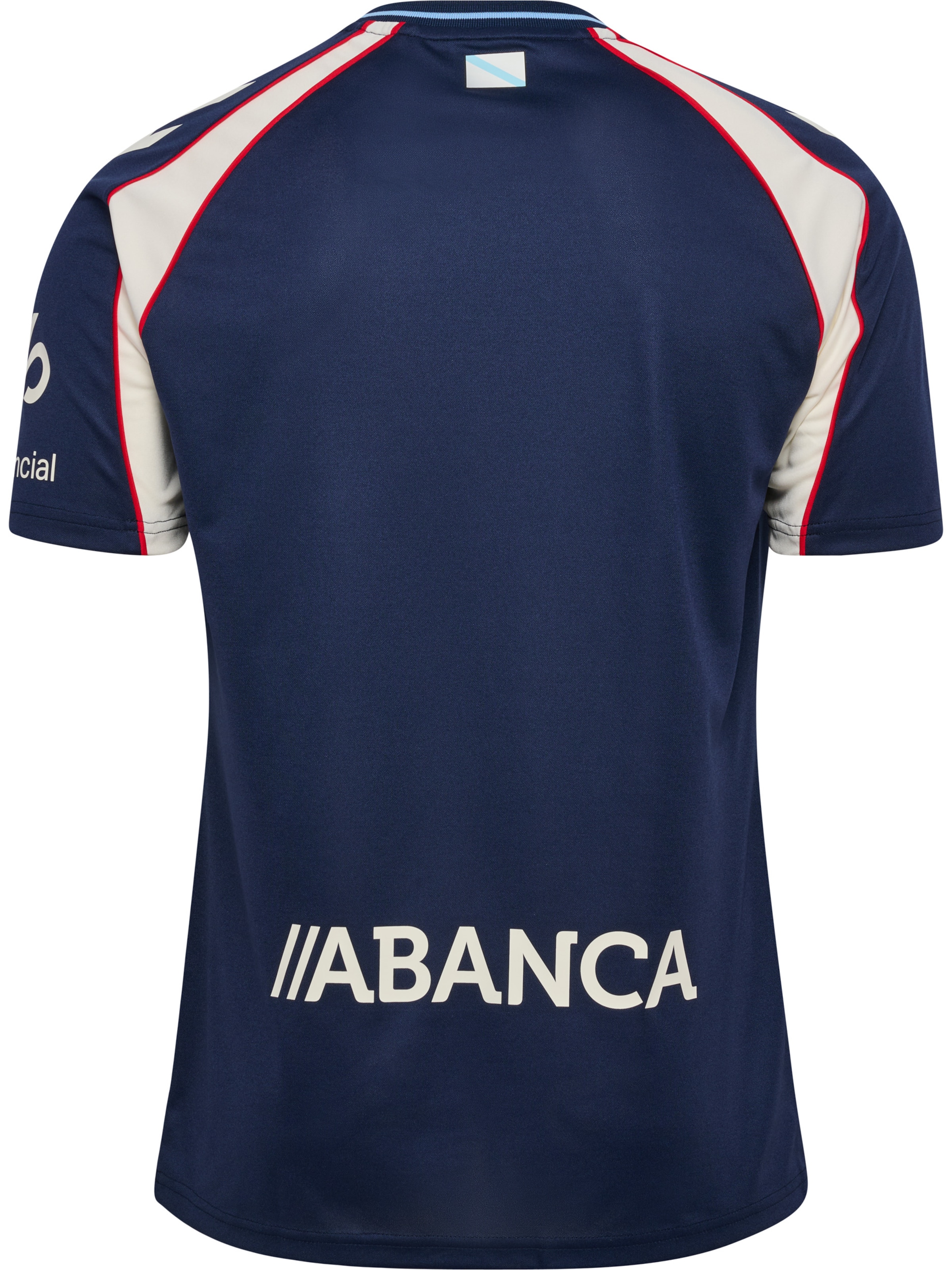 Hummel Funktionsshirt 'RCC 26/27' in Blau