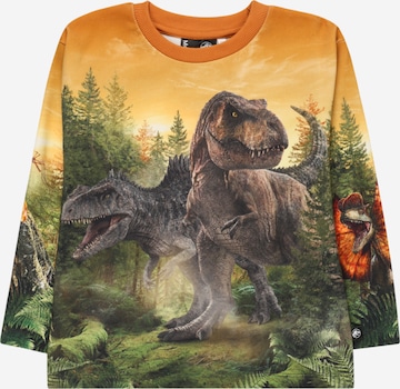 Molo Sweatshirt 'Untoo' in Mixed colors: front