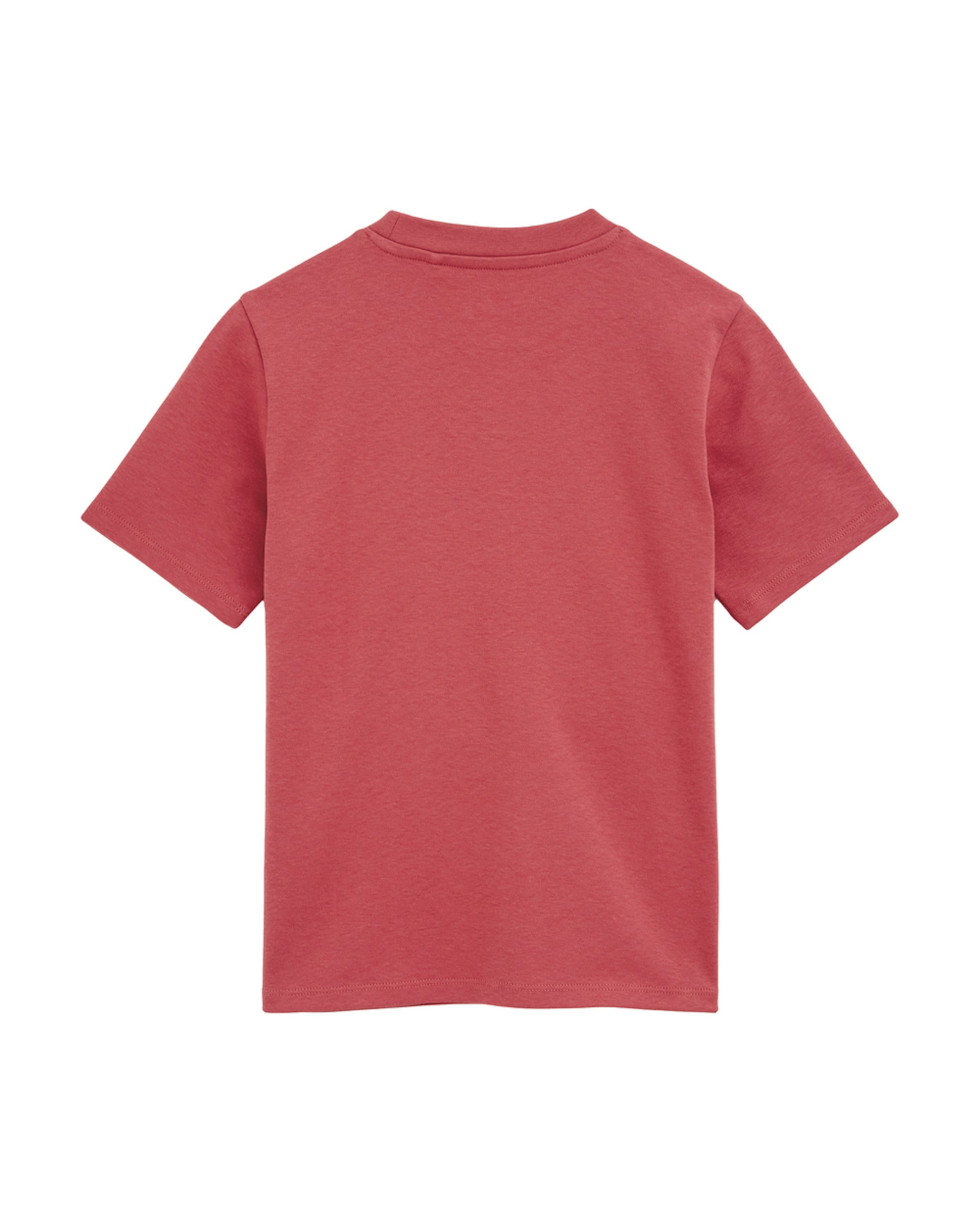 WE Fashion Shirt in Roze