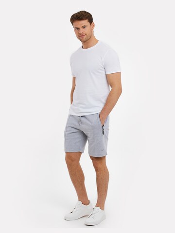 Threadbare Regular Pants 'Whyte' in Grey