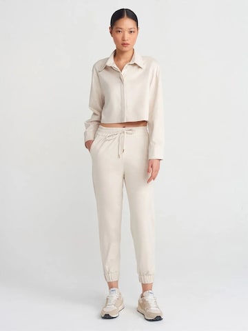 Dilvin Shirt in Beige