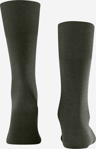 Chaussettes FALKE en vert