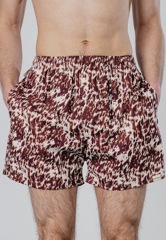 Pockies - Boxers em castanho