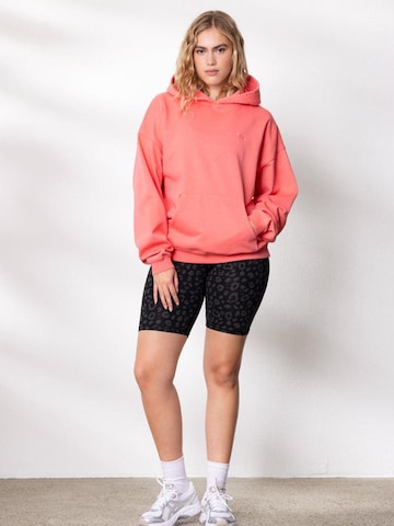 Hey Honey Skinny Leggings 'Biker' in Grey