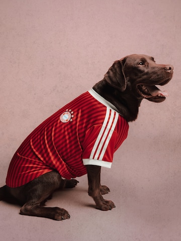 ADIDAS PERFORMANCE Pet accessories in Red