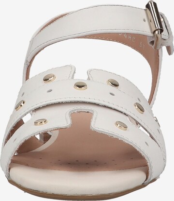 GEOX Sandals in White