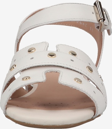GEOX Sandale in Weiß