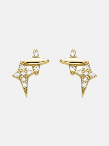 Luxenter Øreringe 'Ciko' i guld: forside