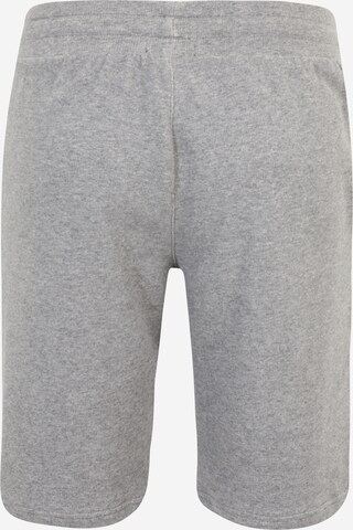 Emporio Armani Regular Broek in Grijs