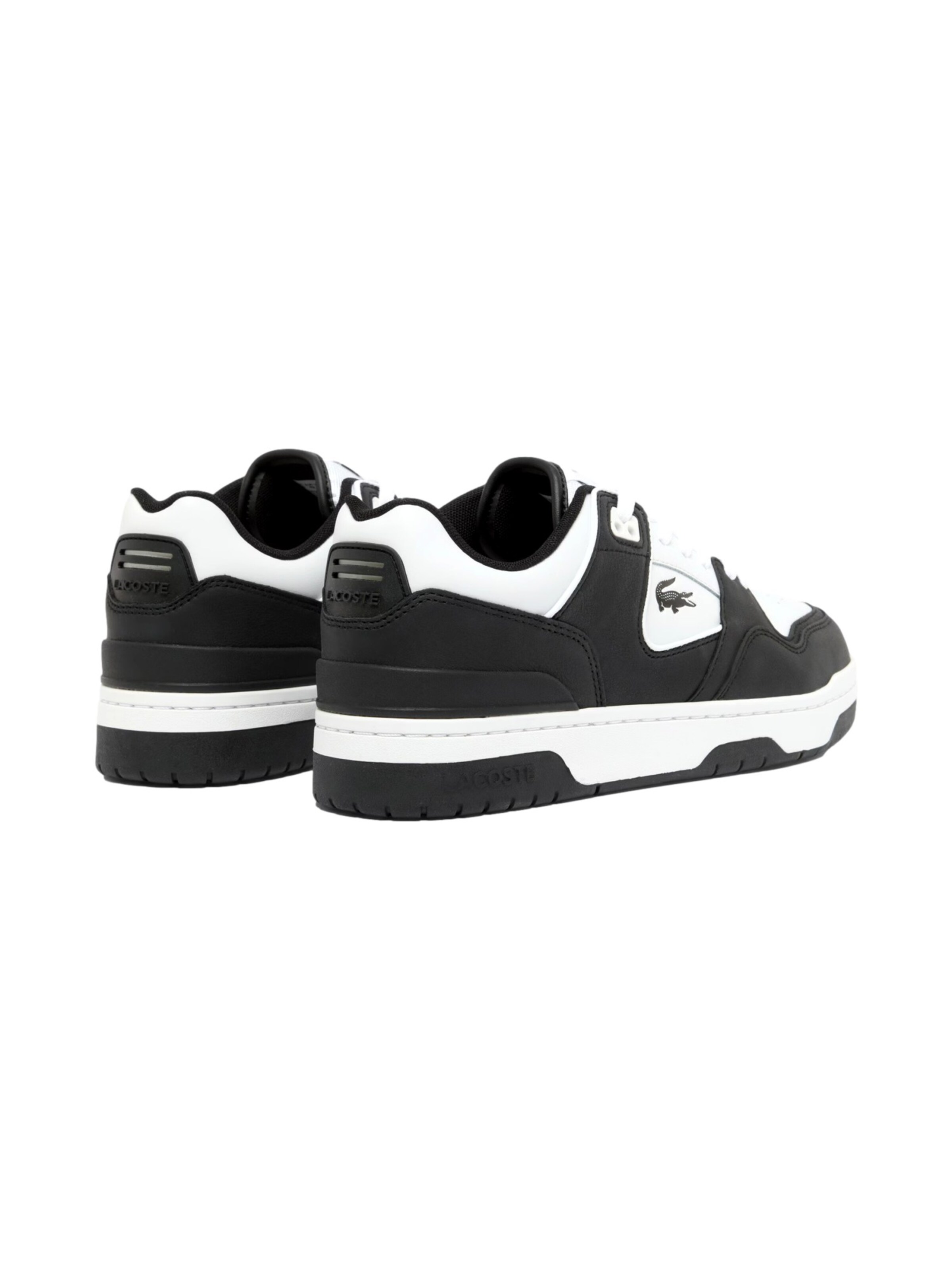 LACOSTE Sneakers laag 'Courtcage Set' in Zwart