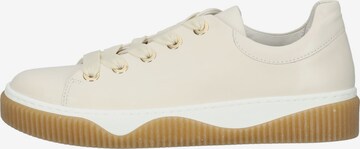 GABOR Sneakers laag in Beige