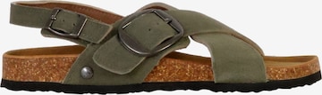terre de marins Sandals 'Syrus-Ledersandalen' in Green: front