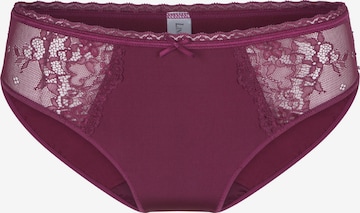 LingaDore Panty in Purple: front