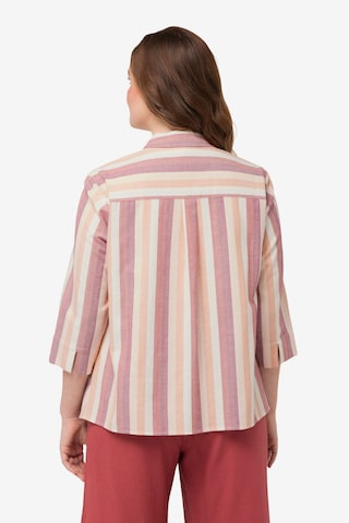 Ulla Popken Bluse in Pink