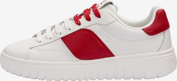 LLOYD Platform trainers 'TORO WAY' in White: front