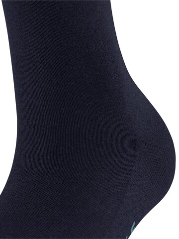 FALKE Knee High Socks 'Family' in Blue
