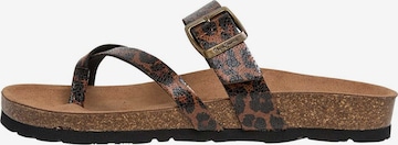 Pepe Jeans Zehentrenner 'Oban Cooler W' in Braun: Vorderseite