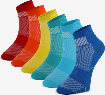 Chaussure basse 'Sport' Crea Socks en mélange de couleurs : devant