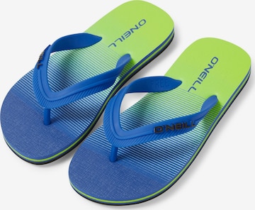 O'NEILL Beach & Pool Shoes 'Profile' in Blue