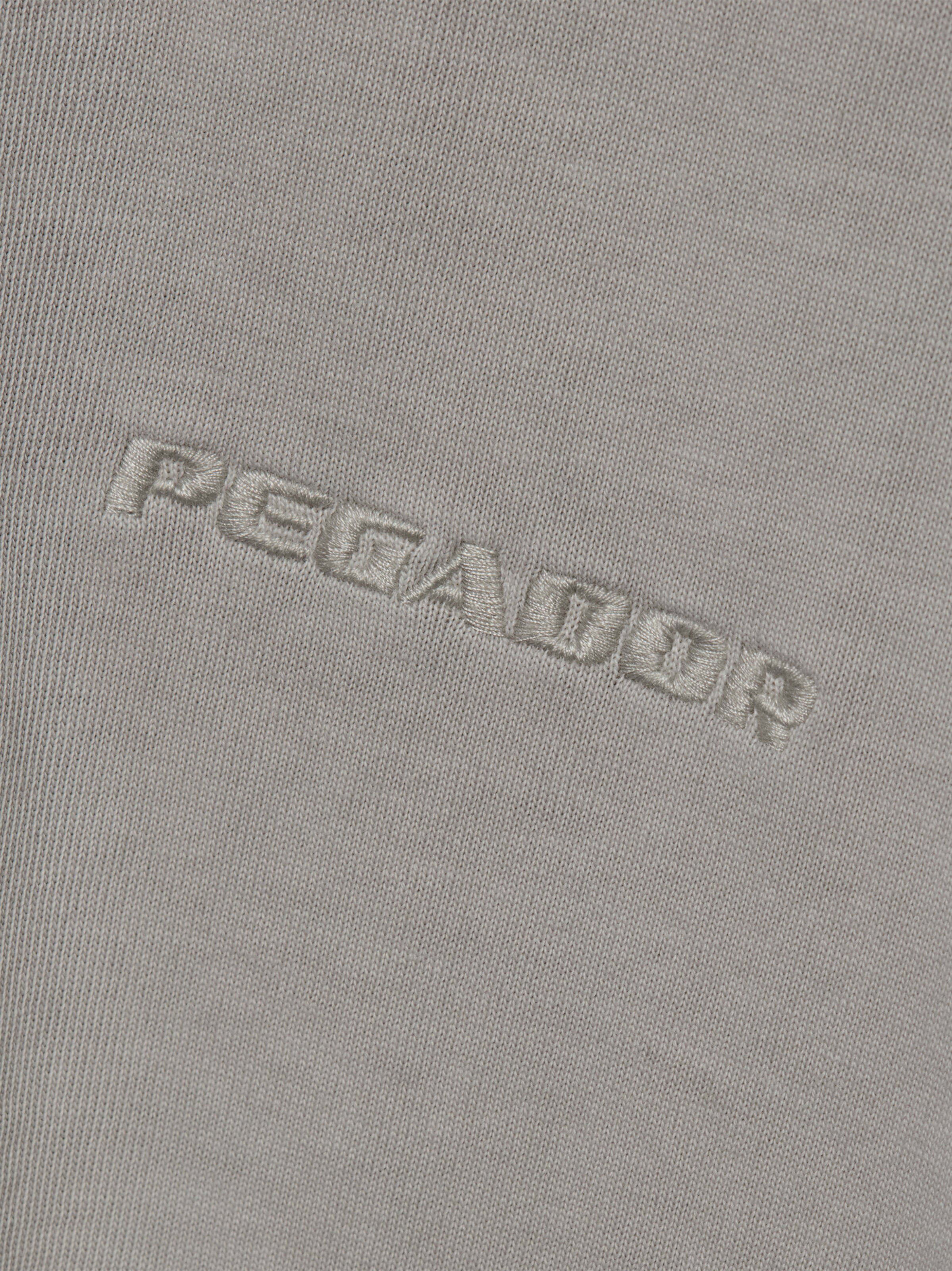 Pegador Shirt in Grijs