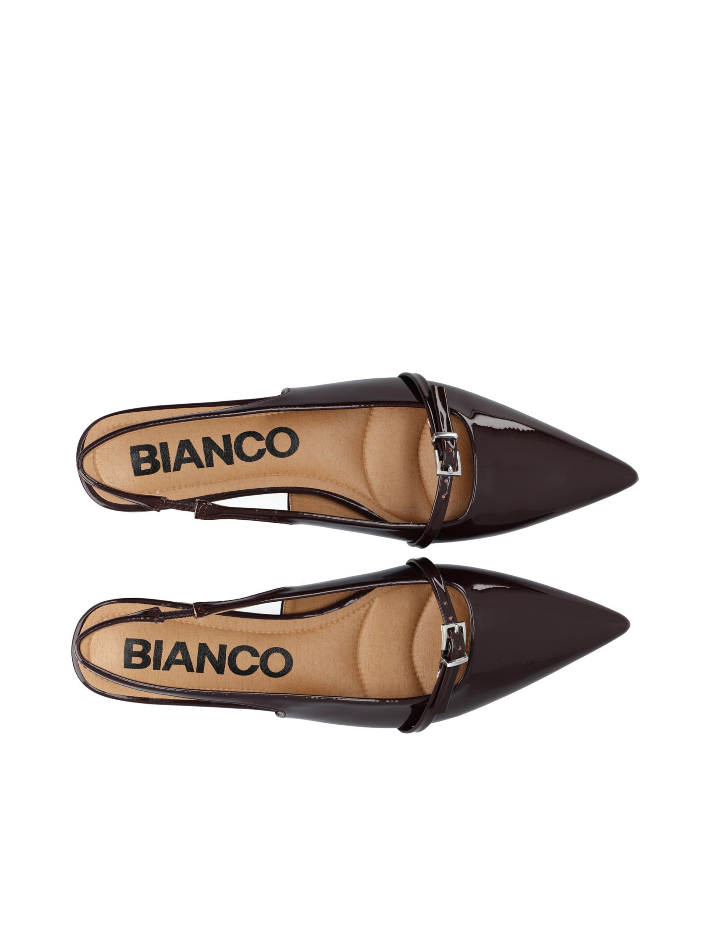 Bianco Pumps  'BARI ' in Braun