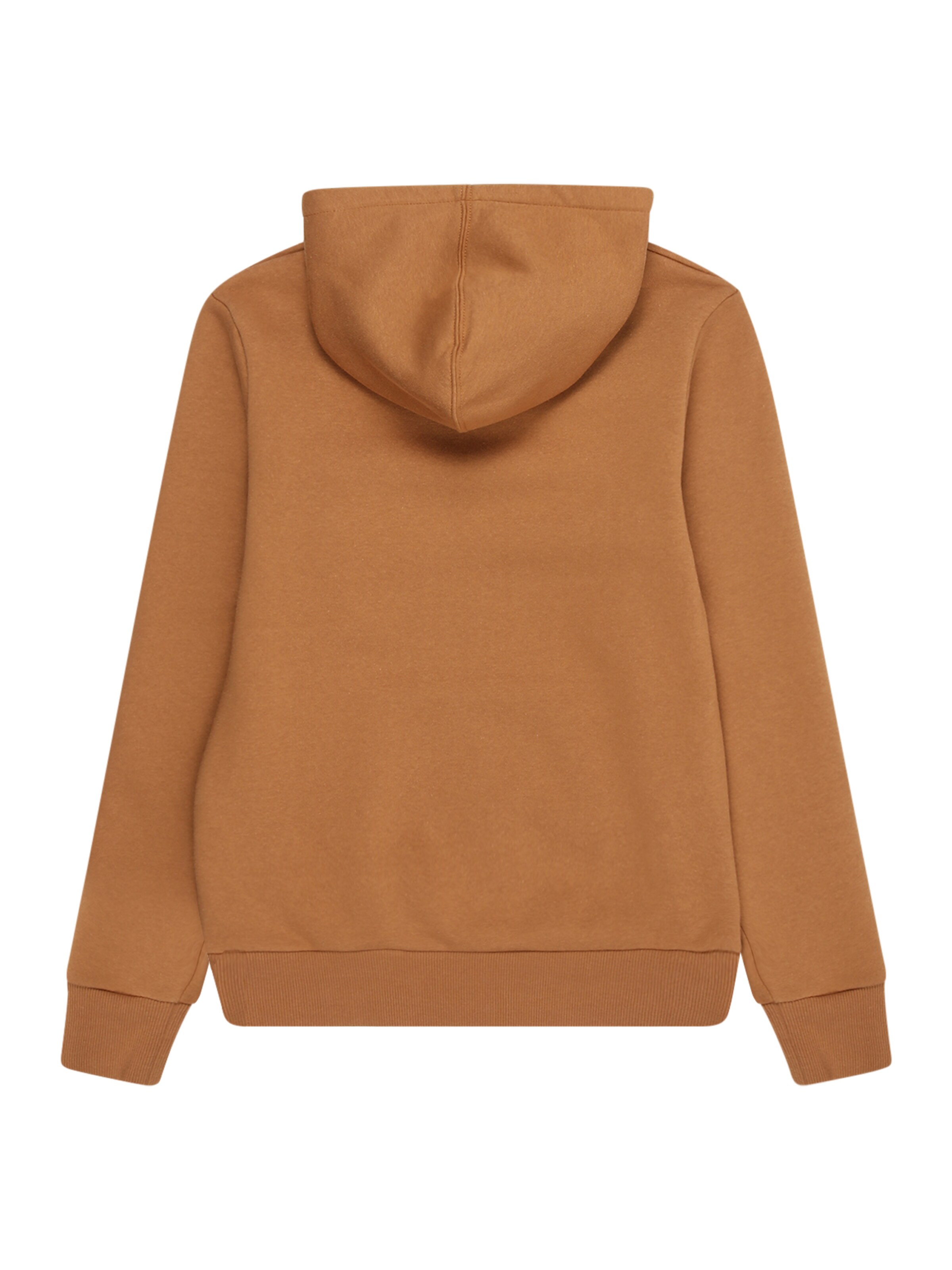 Levi's Kids Regular fit Sweatshirt in Brown