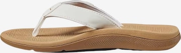 REEF T-Bar Sandals 'Santa Ana' in White: front