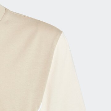 ADIDAS ORIGINALS Shirts 'Adicolor' i beige