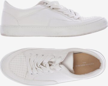 Banana Republic Sneakers & Trainers in 36,5 in White: front
