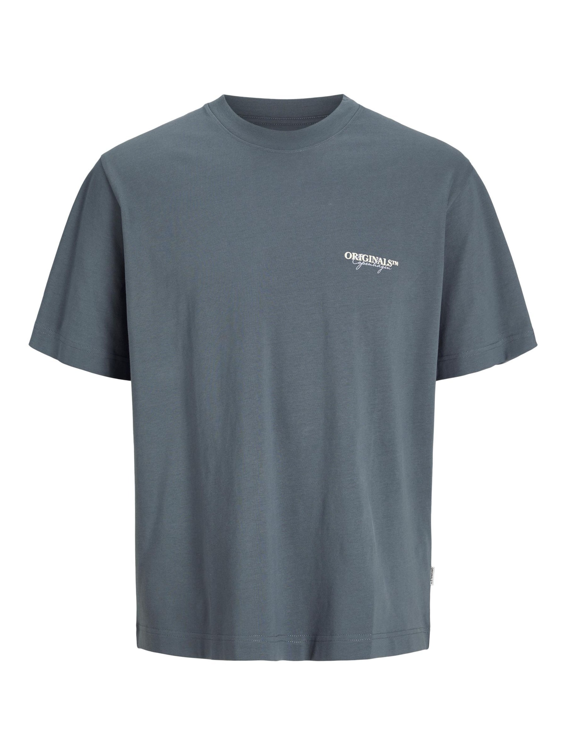 Maglietta 'JJIslington' di Jack & Jones Plus in grigio: frontale
