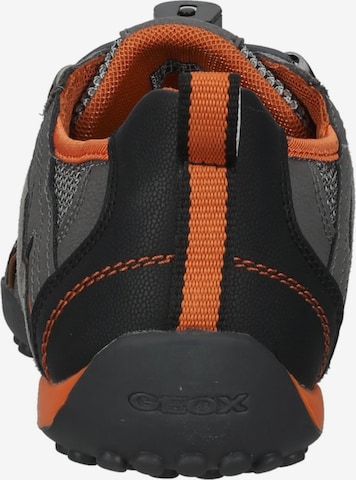 GEOX Sneakers laag 'Snake' in Grijs