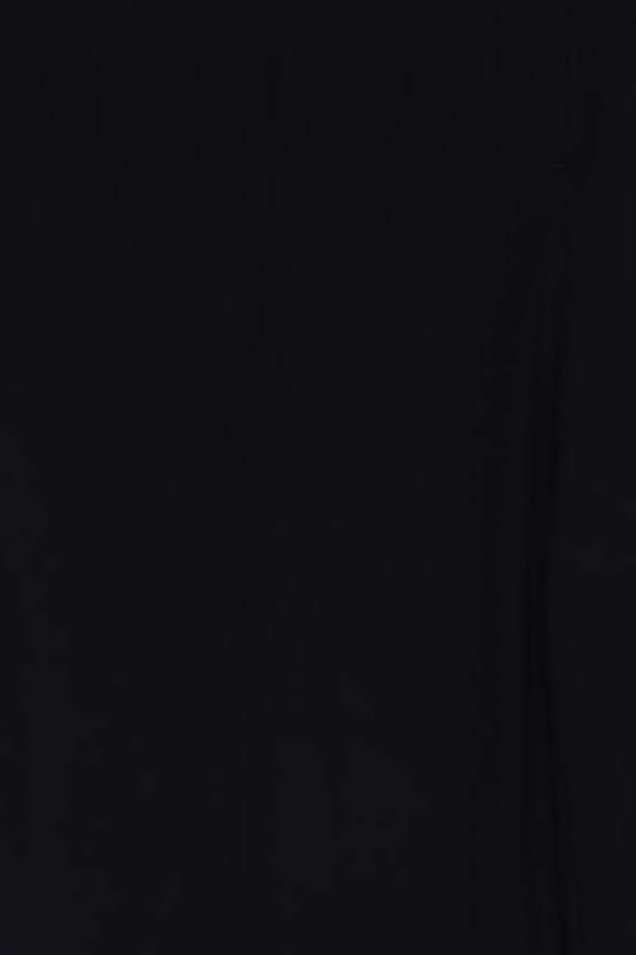 HALLHUBER Pants in XXL in Black