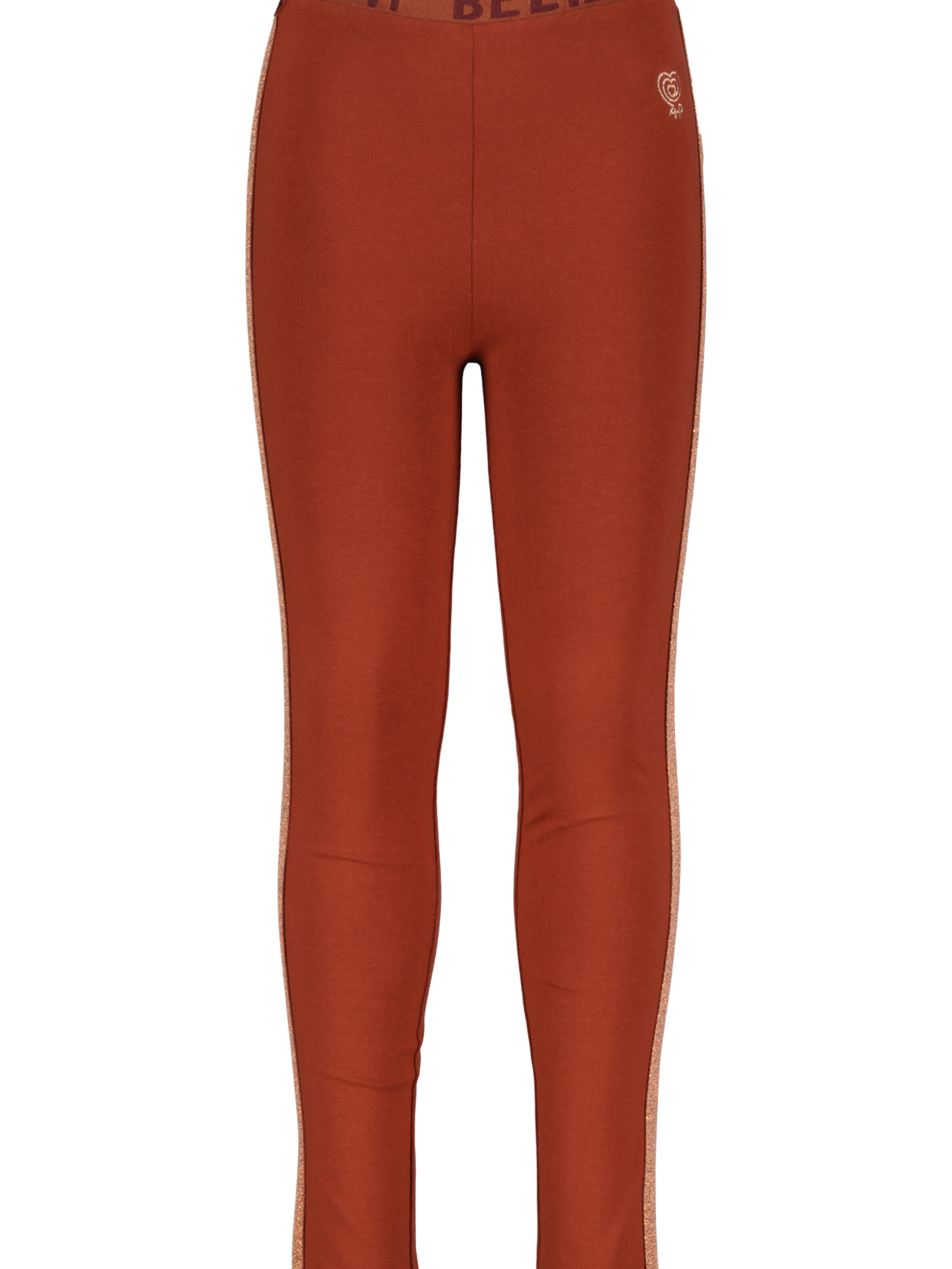 4PRESIDENT Regular Pants 'Imke' in Brown: front