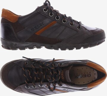 GEOX Sneakers & Trainers in 39 in Brown: front