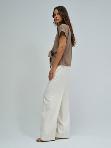 Salsa Jeans Blouse in Brown