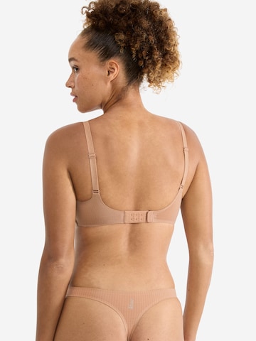 SLOGGI Push-up BH ' Blue ZERO Feel Pure THE UP ' in Bruin