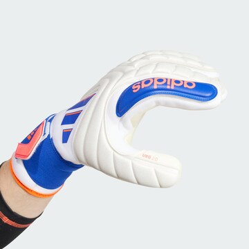 ADIDAS PERFORMANCE Athletic Gloves 'Copa Pro' in White