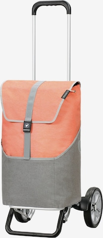 Cabas 'Alu Star' Andersen Shopper en orange : devant