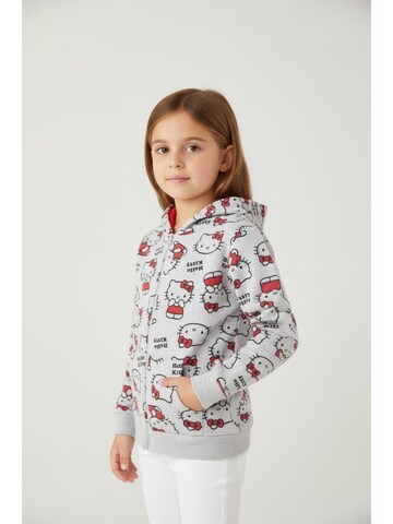 HELLO KITTY Zip-Up Hoodie 'Hello Kitty' in Grey