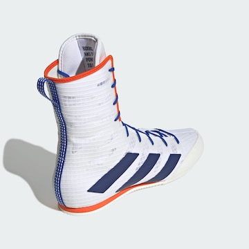 ADIDAS PERFORMANCE Sports shoe 'Box Hog 4' in White
