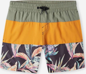 Shorts de bain O'NEILL en mélange de couleurs : devant