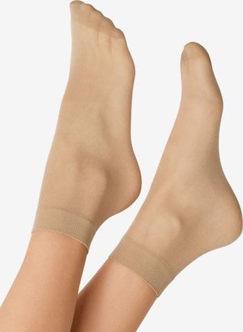 Chaussettes fines ' 2er-Pack 20 DEN ' Nur Die en beige : devant