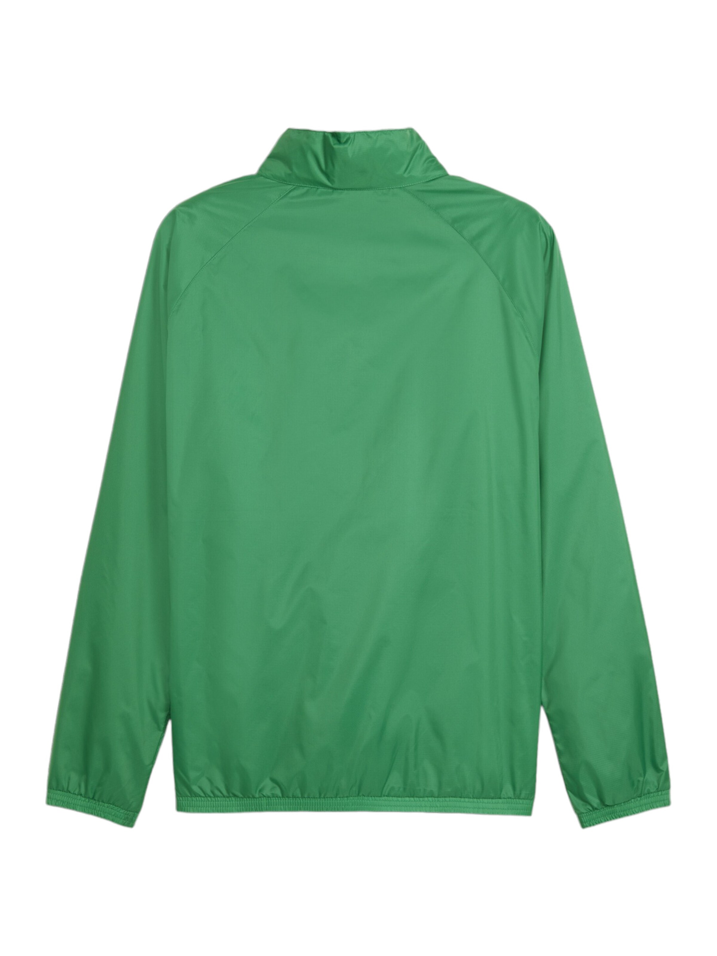 PUMA Sportjacke 'TeamGoal' in Grün