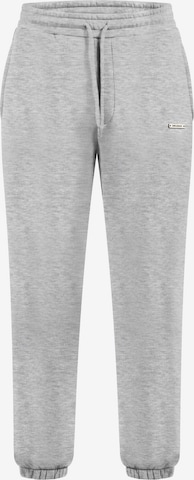 Smilodox Trousers in Grey: front