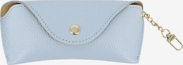 Brise Case 'Brillenetui' in Blue: front