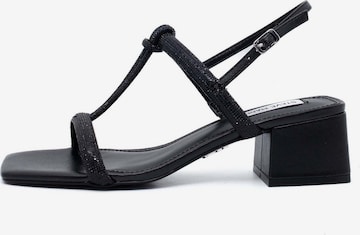 STEVE MADDEN Sandale in Schwarz