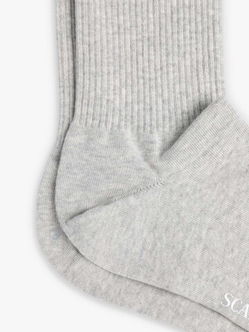 Chaussettes Scalpers en gris