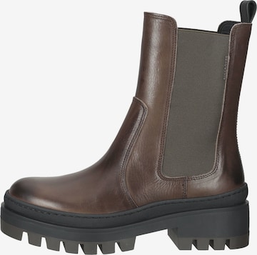 BULLBOXER Chelsea boots in Bruin