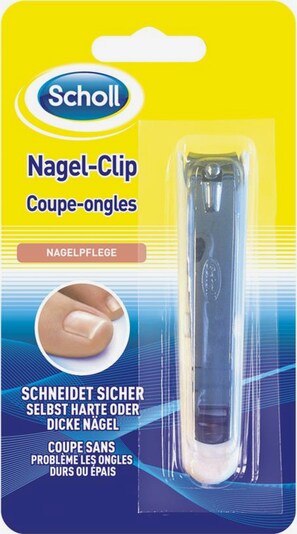 SCHOLL Accessories in, Item view