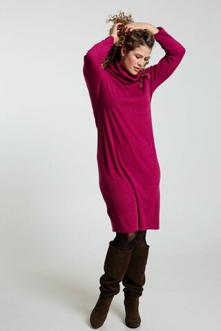 Paprika Knitted dress in Pink